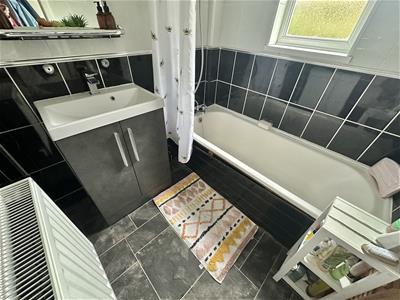 Picture 11